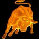 eltoro77