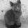 MILLOU