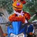 fozzie