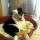 laetitia52