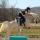The_Horses